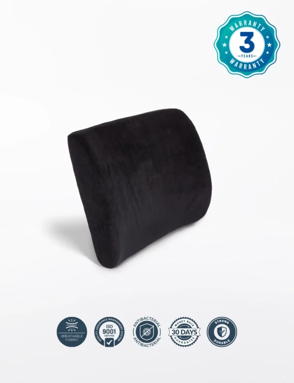 Lumbar Support Cushion E-4